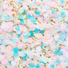 Load image into Gallery viewer, Carousel Confetti